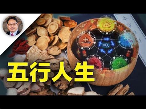 飲食業 五行|【飲食業 五行】飲食業五行大揭密：火與水交織的五行組合